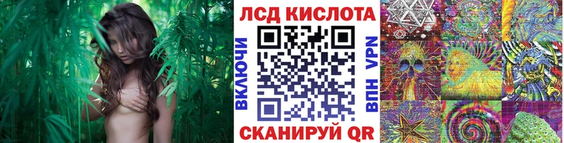 Наркотические марки 1,5мг  цены наркотик  Октябрьский 