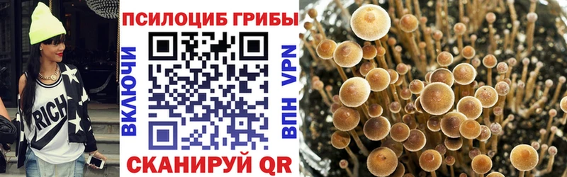 Псилоцибиновые грибы GOLDEN TEACHER  купить наркоту  OMG маркетплейс  Октябрьский 