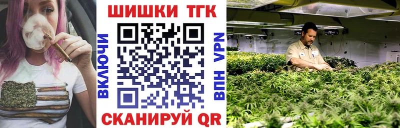 Бошки Шишки ГИДРОПОН  купить наркотик  Октябрьский 